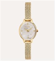 Montre Alviero Martini Femme Symi in Acier 1702932